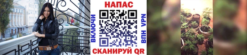 MEGA зеркало  сайты даркнета наркотические препараты  Шишки марихуана SATIVA & INDICA  Остров 